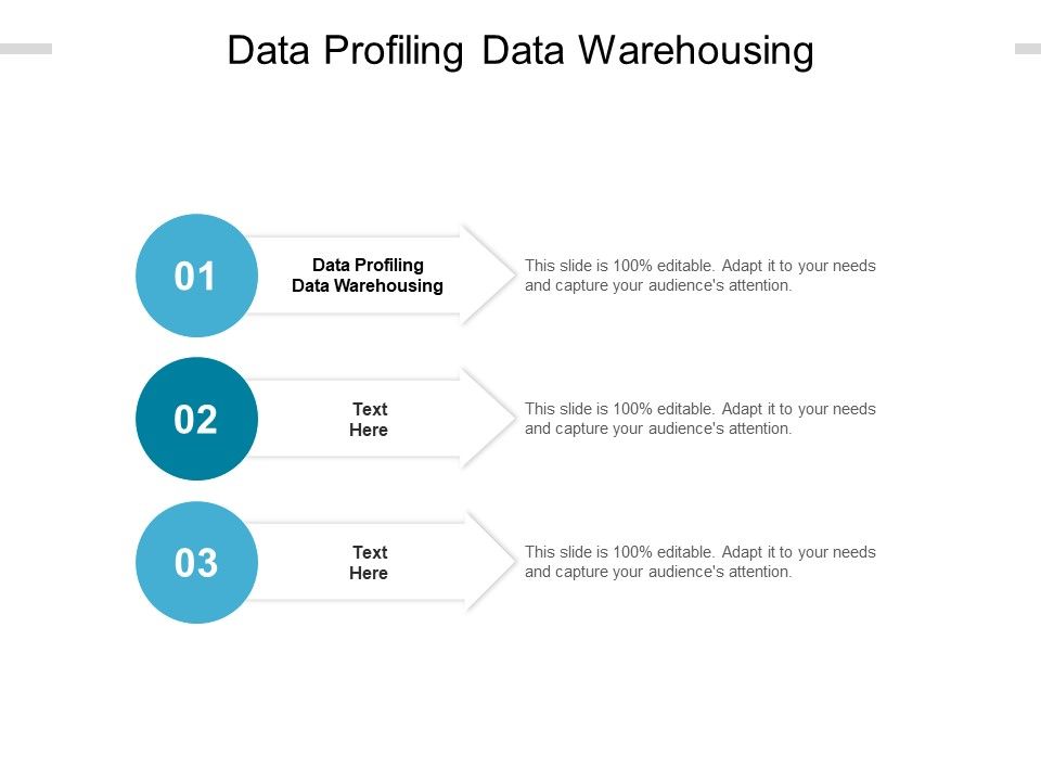 Data_Profiling_Data_Warehousing_Ppt_PowerPoint_Presentation_Slides_Visuals_Cpb_Pdf_Slide_1.jpg