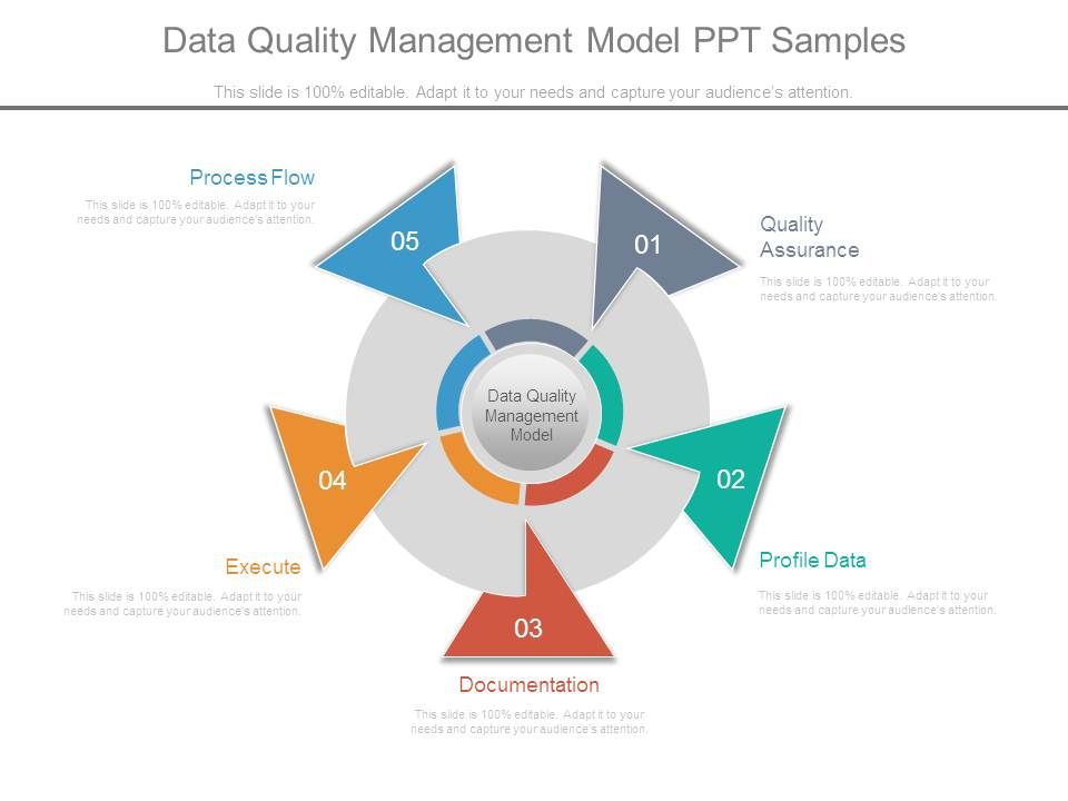 Data_Quality_Management_Model_Ppt_Samples_1.jpg