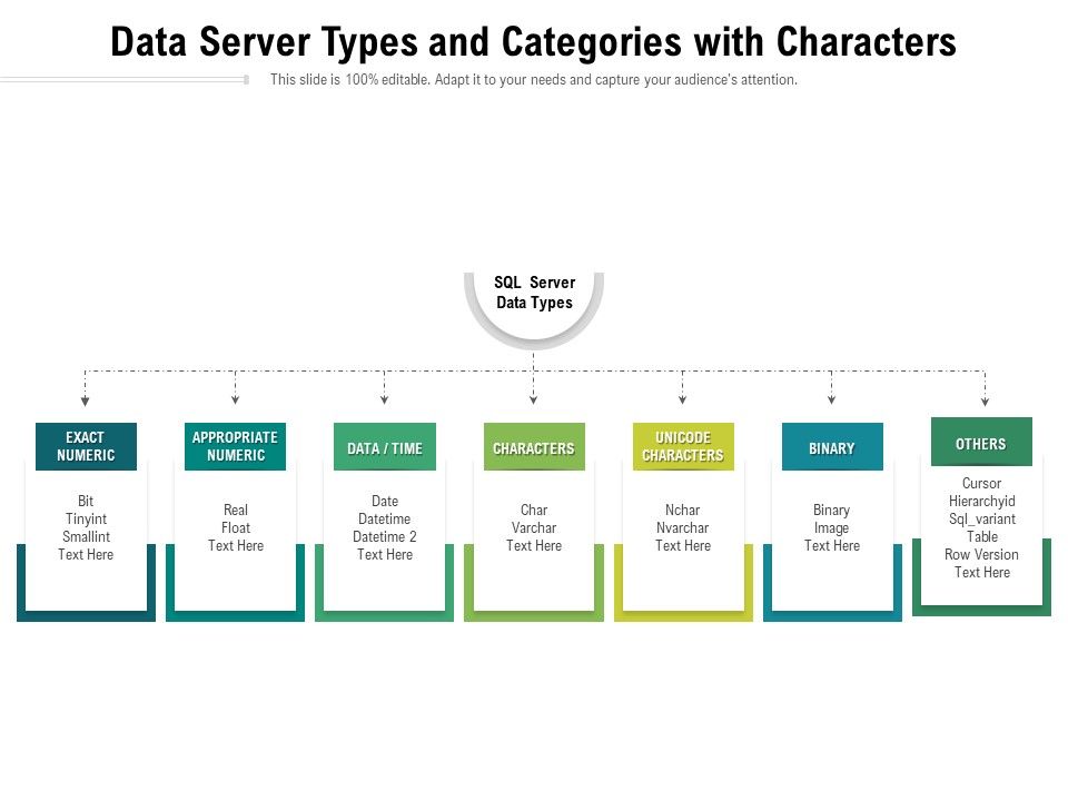 Data_Server_Types_And_Categories_With_Characters_Ppt_PowerPoint_Presentation_File_Inspiration_PDF_Slide_1.jpg