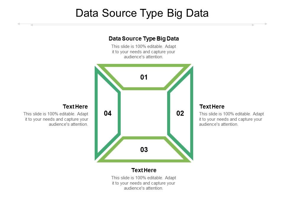 Data_Source_Type_Big_Data_Ppt_PowerPoint_Presentation_Gallery_Layouts_Cpb_Pdf_Slide_1.jpg
