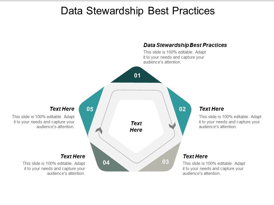 Data_Stewardship_Best_Practices_Ppt_PowerPoint_Presentation_Slides_File_Formats_Cpb_Slide_1.jpg