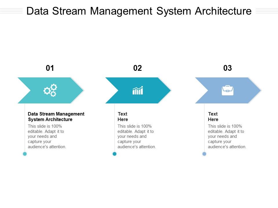 Data_Stream_Management_System_Architecture_Ppt_PowerPoint_Presentation_Model_Design_Inspiration_Cpb_Pdf_Slide_1.jpg