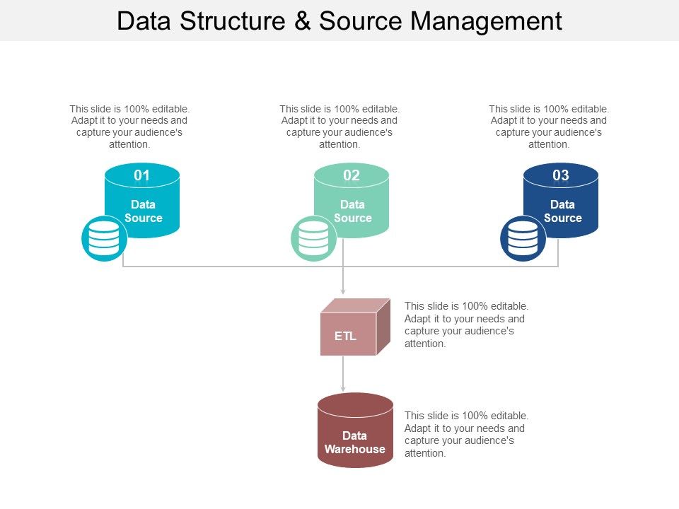 Data_Structure_And_Source_Management_Ppt_PowerPoint_Presentation_Layouts_Show_Slide_1.jpg