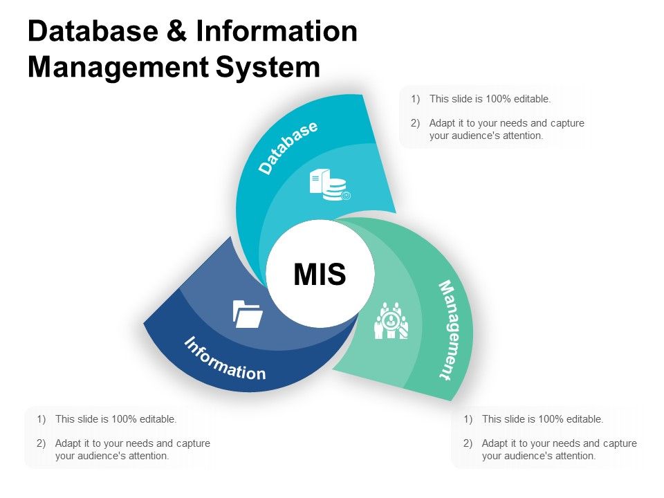 Database_And_Information_Management_System_Ppt_PowerPoint_Presentation_Styles_Ideas_Slide_1.jpg