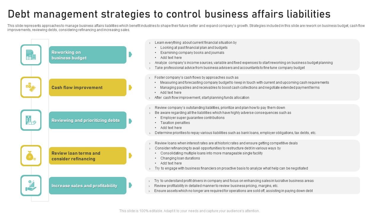 Debt_Management_Strategies_To_Control_Business_Affairs_Liabilities_Information_PDF_Slide_1.jpg