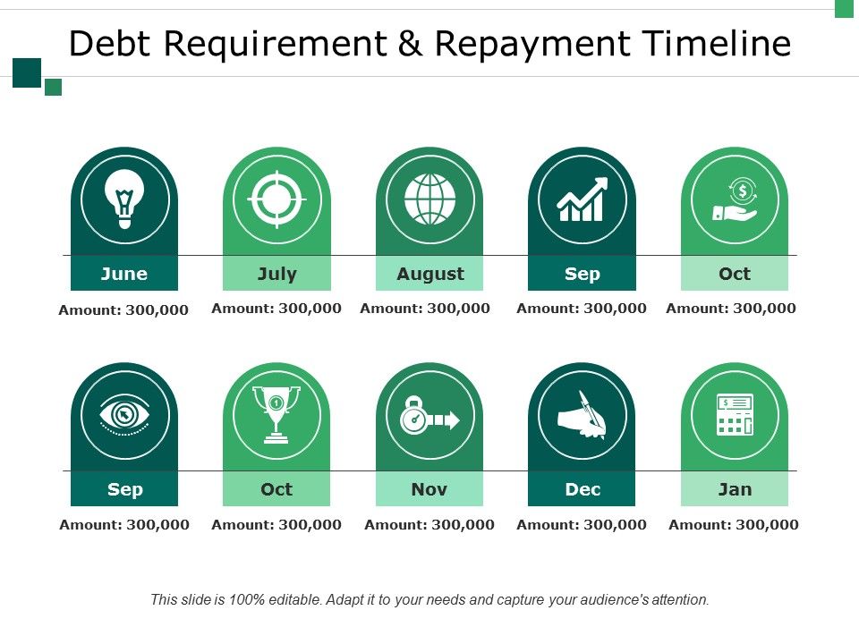 Debt_Requirement_And_Repayment_Timeline_Ppt_PowerPoint_Presentation_Model_Layout_Ideas_Slide_1.jpg