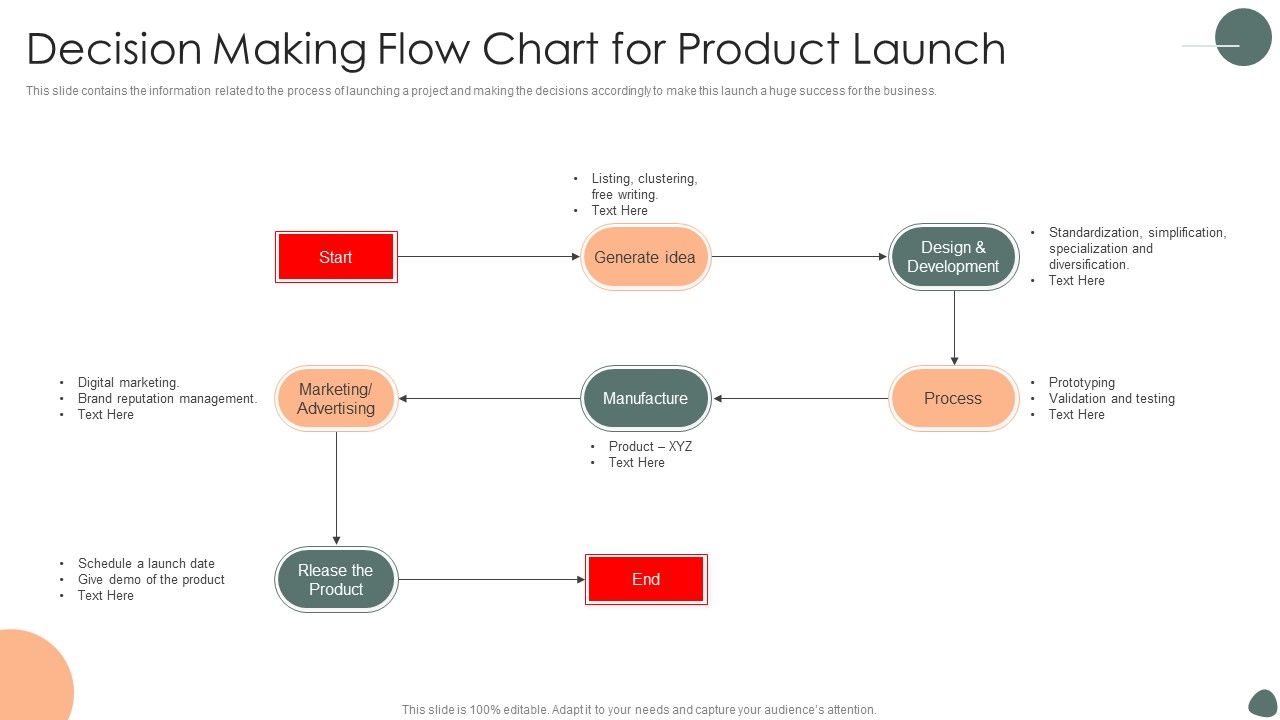 Decision_Making_Flow_Chart_For_Product_Launch_Ppt_Infographic_Template_Picture_PDF_Slide_1.jpg