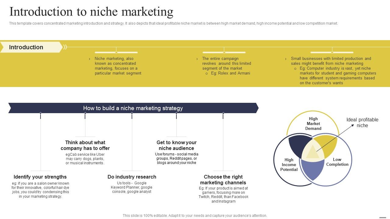 Defining_Generic_Target_Marketing_Techniques_Introduction_To_Niche_Marketing_Slides_PDF_Slide_1.jpg