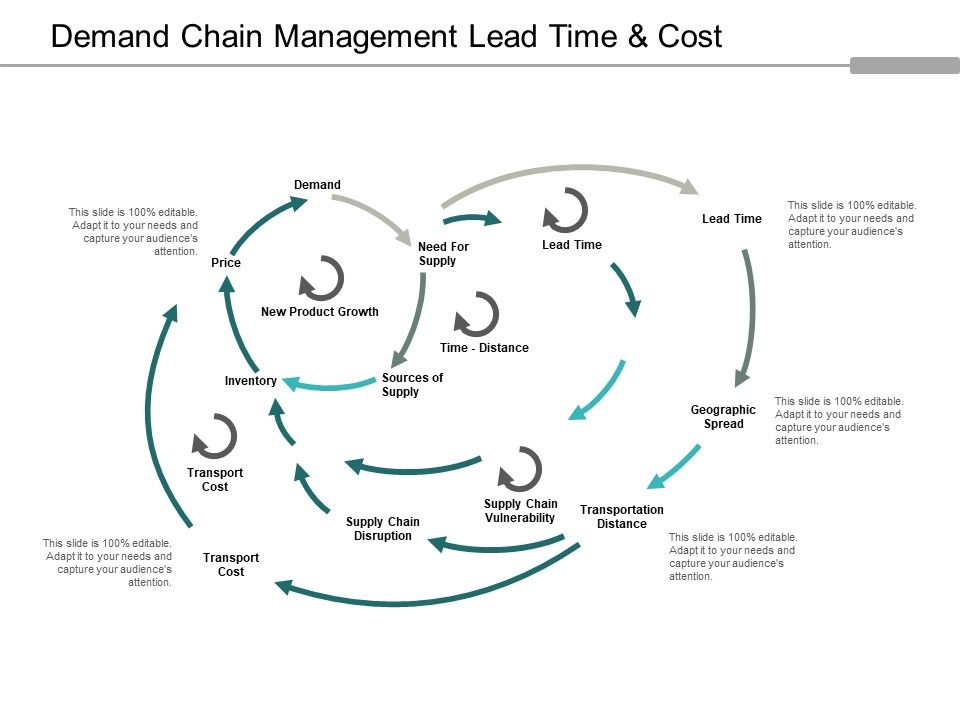 Demand_Chain_Management_Lead_Time_And_Cost_Ppt_PowerPoint_Presentation_Slides_Objects_Slide_1.jpg
