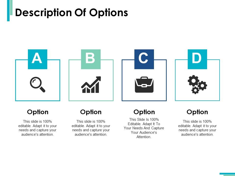Description_Of_Options_Marketing_Ppt_PowerPoint_Presentation_Ideas_Picture_Slide_1.jpg