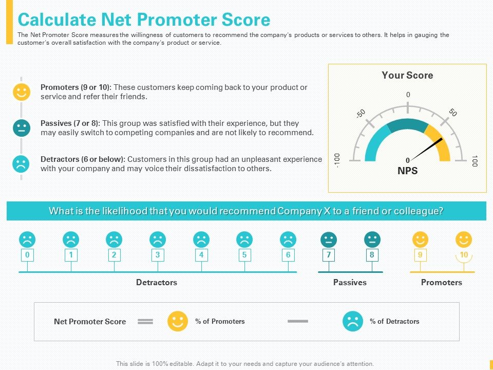 Designing_Great_Client_Experience_Action_Plan_Calculate_Net_Promoter_Score_Ppt_Gallery_Ideas_PDF_Slide_1.jpg