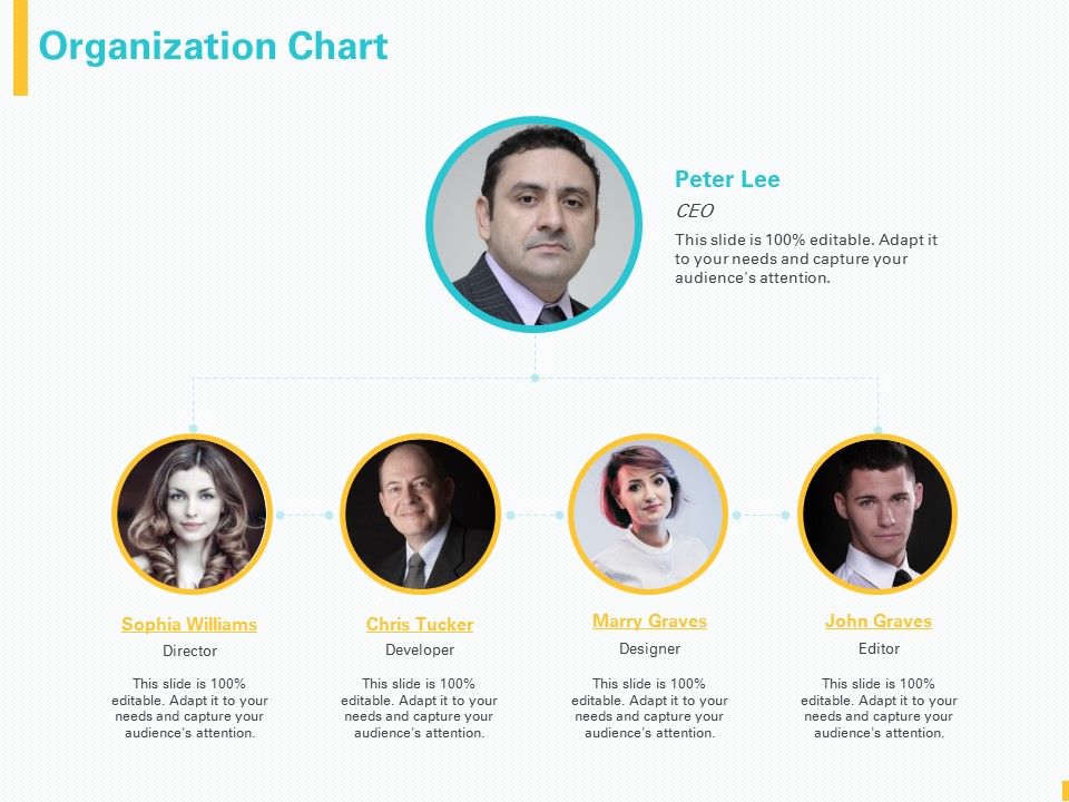 Designing_Great_Client_Experience_Action_Plan_Organization_Chart_Ppt_PowerPoint_Presentation_Layouts_Display_Slide_1.jpg