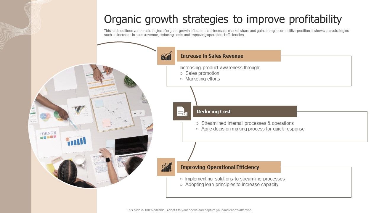 Designing_Strategies_For_Company_Growth_And_Success_Organic_Growth_Strategies_To_Improve_Profitability_Template_PDF_Slide_1.jpg