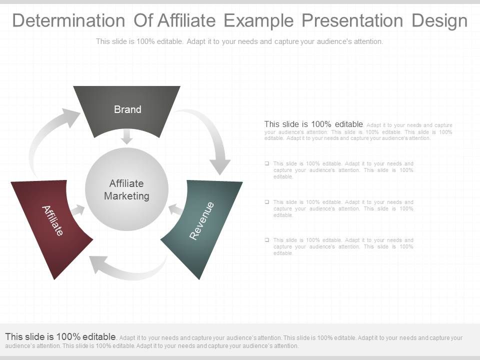 Determination_Of_Affiliate_Example_Presentation_Design_1.jpg
