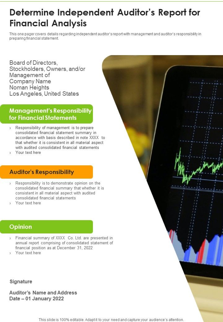 Determine_Independent_Auditors_Report_For_Financial_Analysis_Template_126_One_Pager_Documents_Slide_1.jpg
