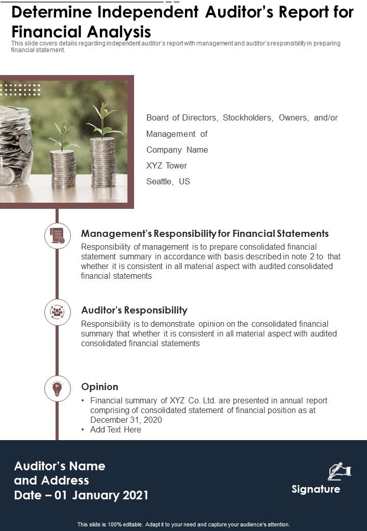Determine Independent Auditors Report For Financial Analysis Template 5 One Pager Documents Slide01