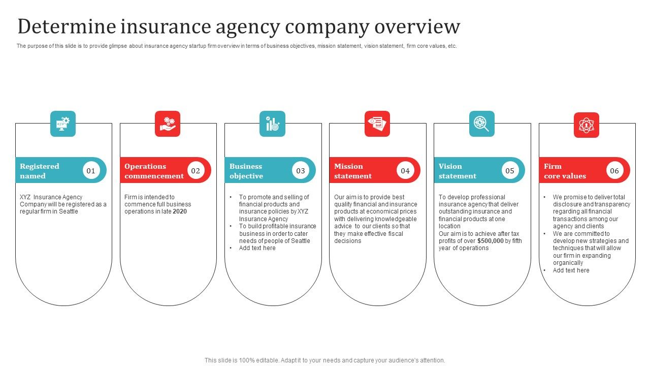 Determine_Insurance_Agency_Company_Overview_Professional_PDF_Slide_1.jpg