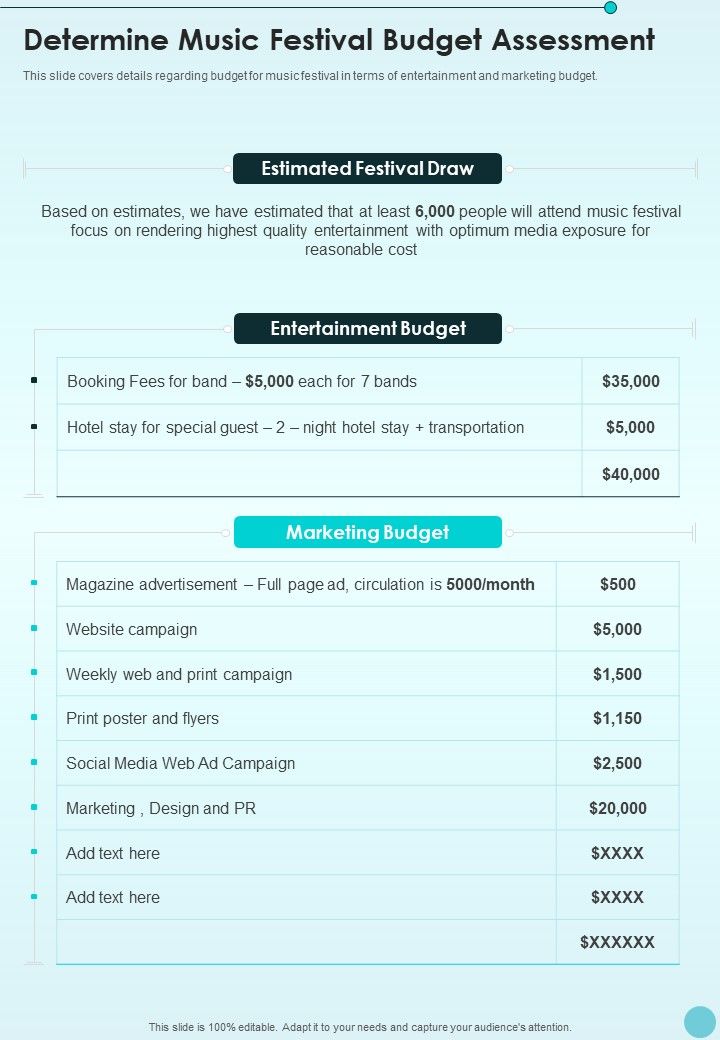 Determine_Music_Festival_Budget_Assessment_One_Pager_Sample_Example_Document_Slide_1.jpg