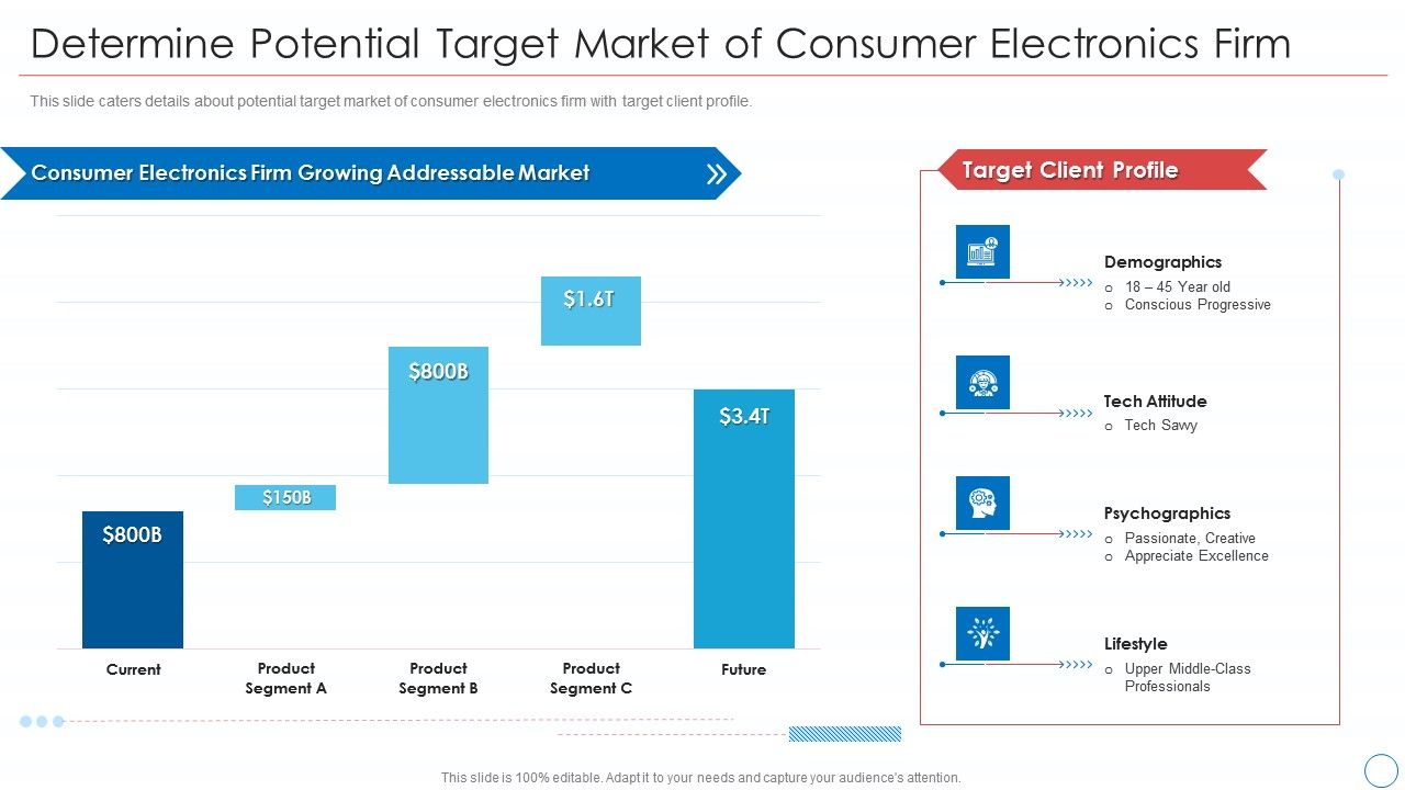 Determine_Potential_Target_Market_Of_Consumer_Electronics_Firm_Professional_PDF_Slide_1.jpg