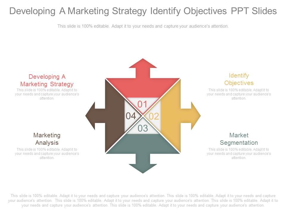 Developing_A_Marketing_Strategy_Identify_Objectives_Ppt_Slides_1.jpg