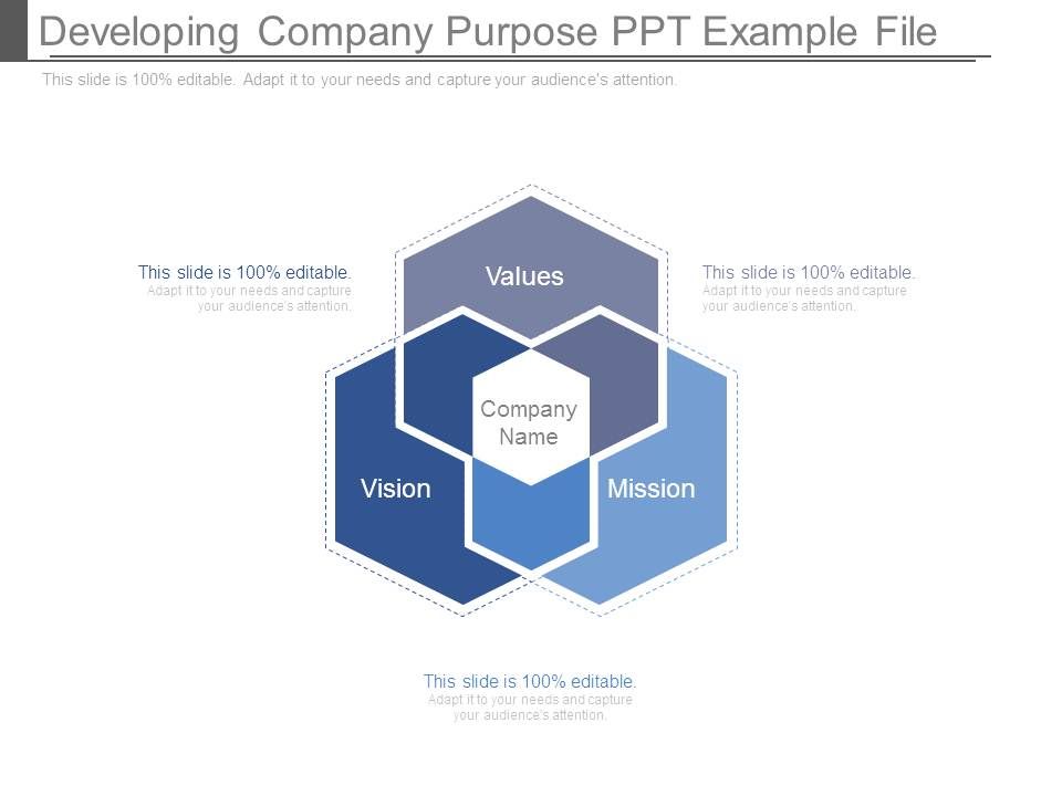 Developing_Company_Purpose_Ppt_Example_File_1.jpg