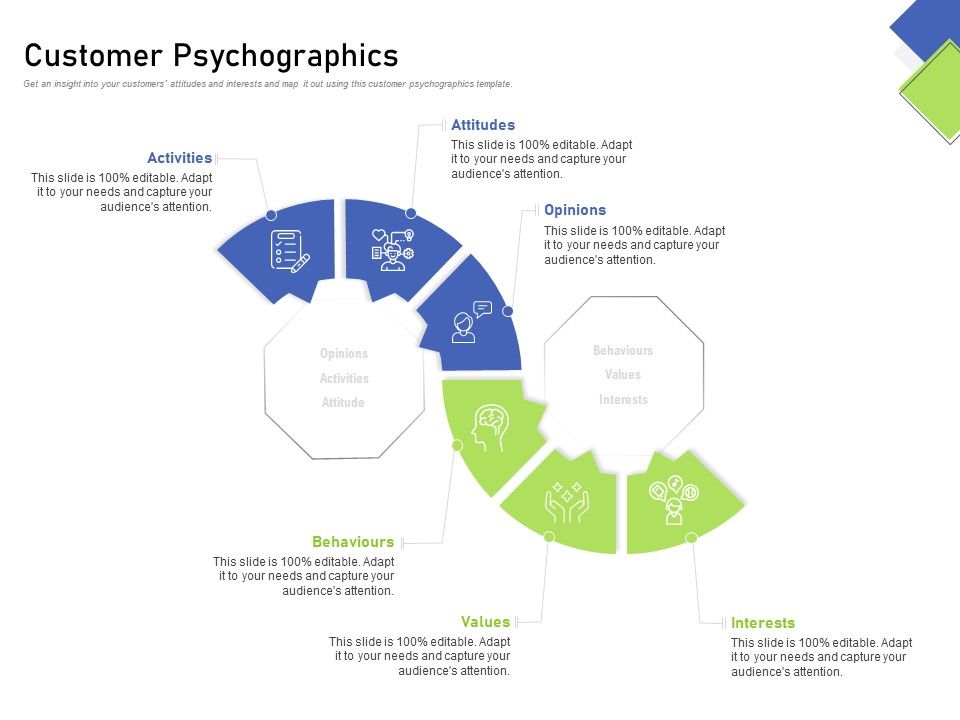 Developing_Content_Mapping_Strategy_Customer_Psychographics_Ppt_Styles_Display_PDF_Slide_1.jpg