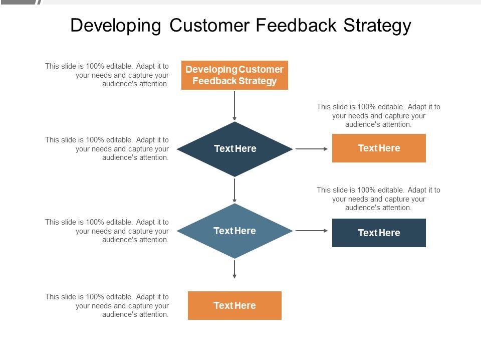 Developing_Customer_Feedback_Strategy_Ppt_PowerPoint_Presentation_Layouts_Display_Cpb_Pdf_Slide_1.jpg