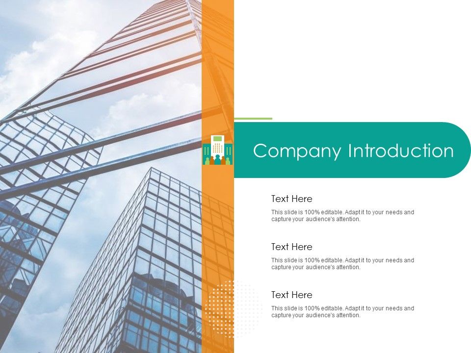 Developing_Customer_Service_Strategy_Company_Introduction_Ppt_Professional_Shapes_PDF_Slide_1.jpg