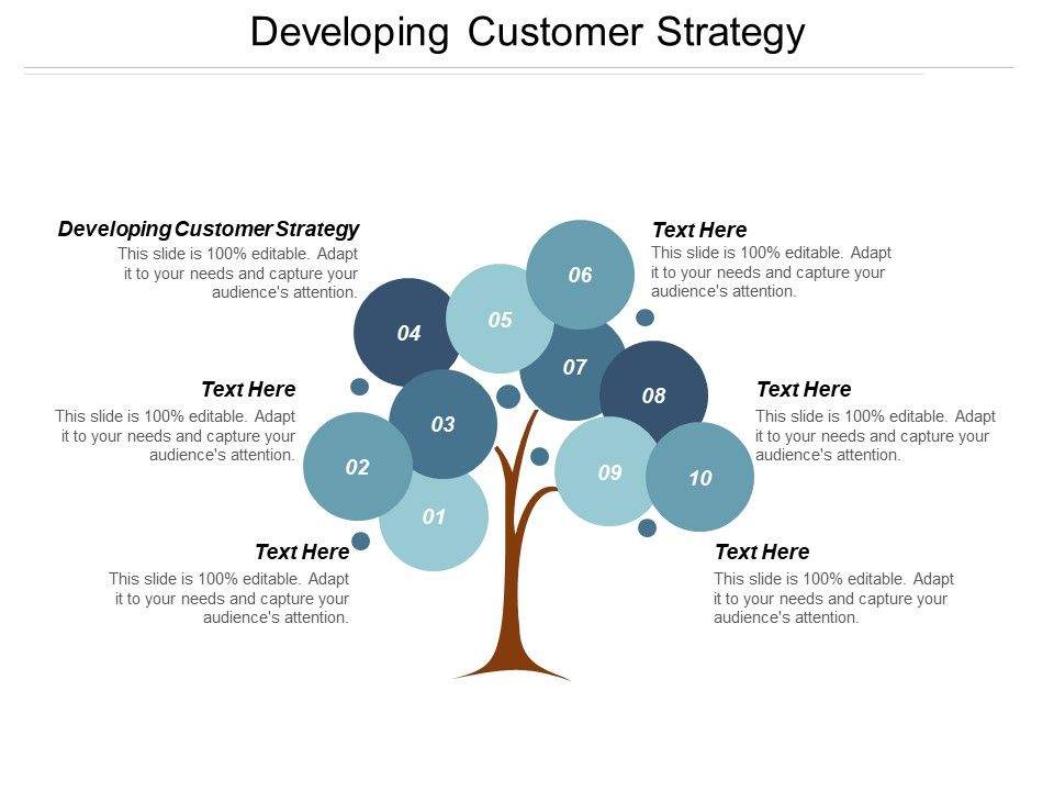 Developing_Customer_Strategy_Ppt_PowerPoint_Presentation_Model_Visual_Aids_Slide_1.jpg