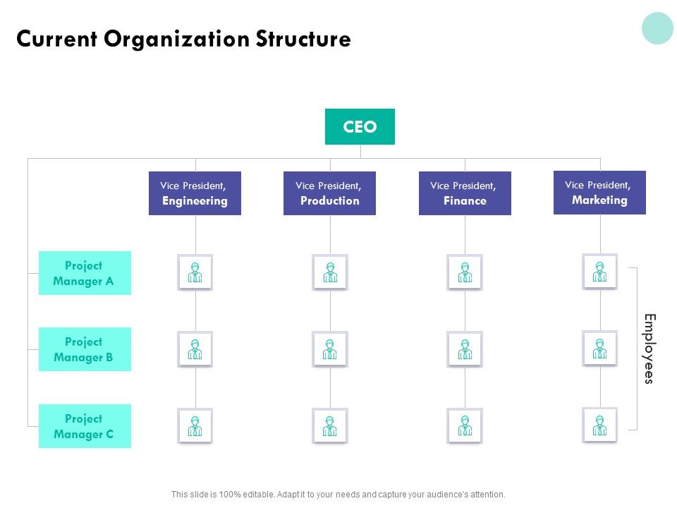 Developing_Employee_Competency_Current_Organization_Structure_Ppt_Inspiration_Infographics_PDF_Slide_1.jpg