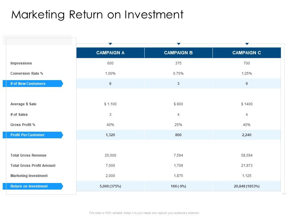 Developing_Implementing_Organization_Marketing_Promotional_Strategies_Marketing_Return_On_Investment_Rules_PDF_Slide_1.jpg