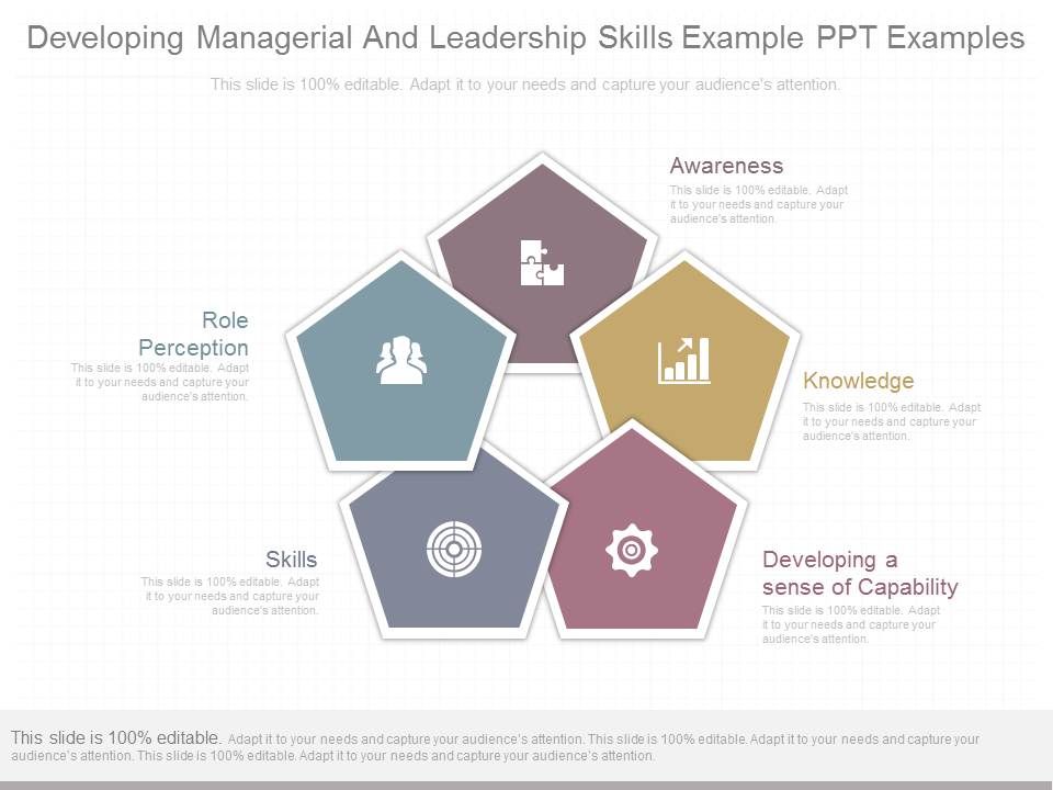 Developing_Managerial_And_Leadership_Skills_Example_Ppt_Examples_1.jpg