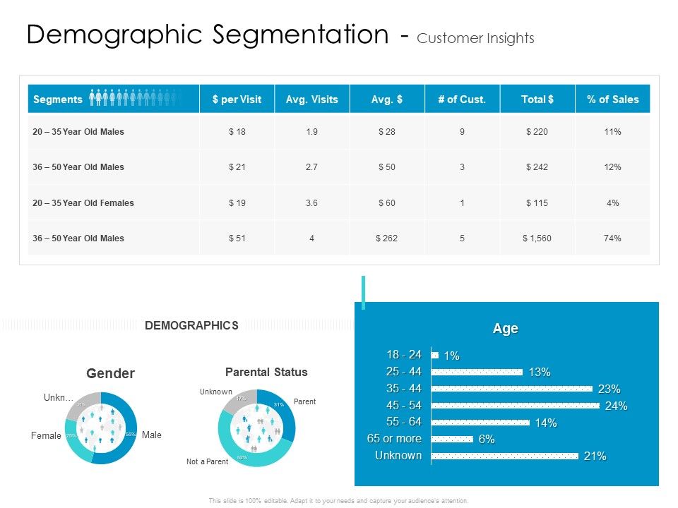 Developing_New_Sales_And_Marketing_Strategic_Approach_Demographic_Segmentation_And_Customer_Insights_Slides_Slide_1.jpg
