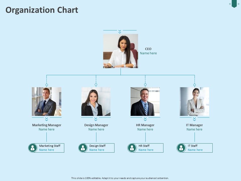 Developing_Organization_Partner_Strategy_Organization_Chart_Ppt_Inspiration_Infographic_Template_PDF_Slide_1.jpg