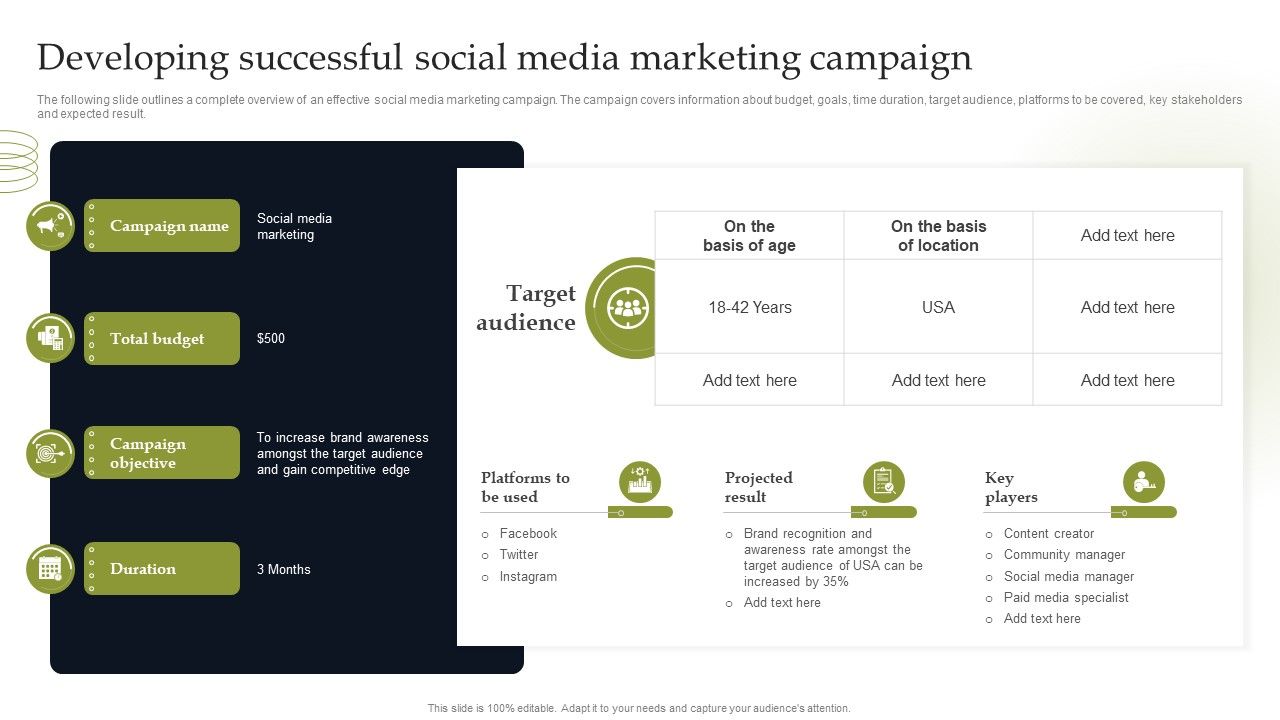 Developing_Successful_Social_Media_Marketing_Campaign_Summary_PDF_Slide_1.jpg