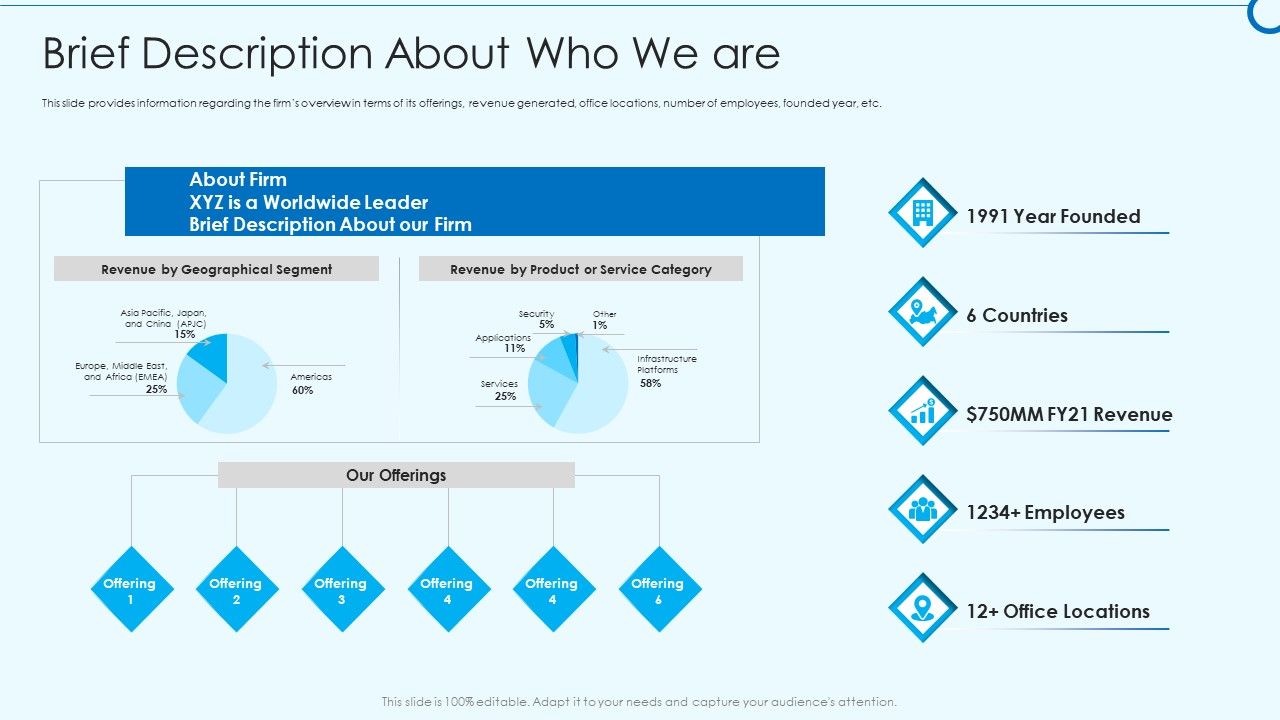 Developing_Viable_Working_Surrounding_Brief_Description_About_Who_We_Are_Summary_PDF_Slide_1.jpg