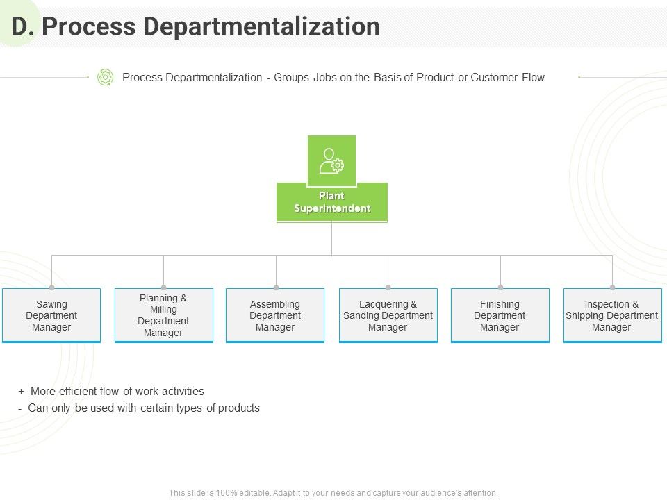 Developing_Work_Force_Management_Plan_Model_D_Process_Departmentalization_Rules_PDF_Slide_1.jpg