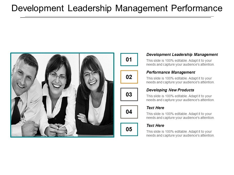 Development_Leadership_Management_Performance_Management_Developing_New_Products_Ppt_PowerPoint_Presentation_Show_Styles_Slide_1.jpg