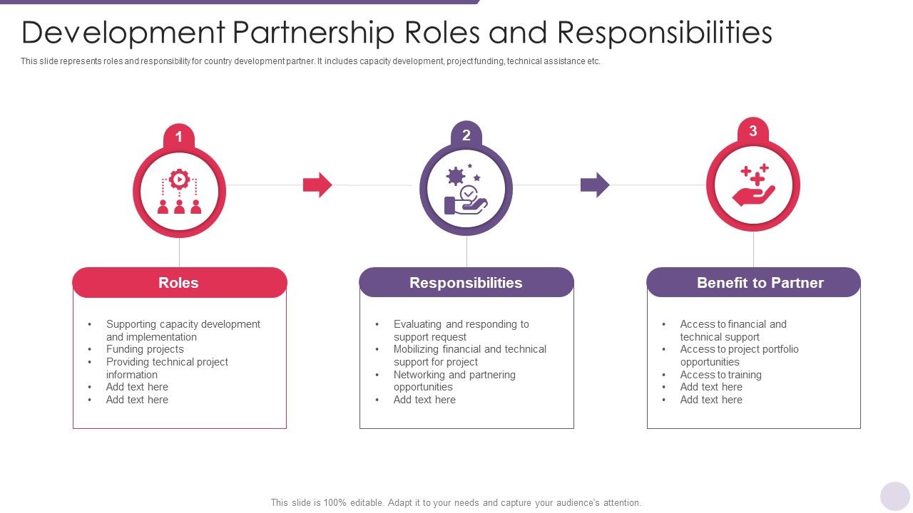 Development_Partnership_Roles_And_Responsibilities_Professional_PDF_Slide_1.jpg