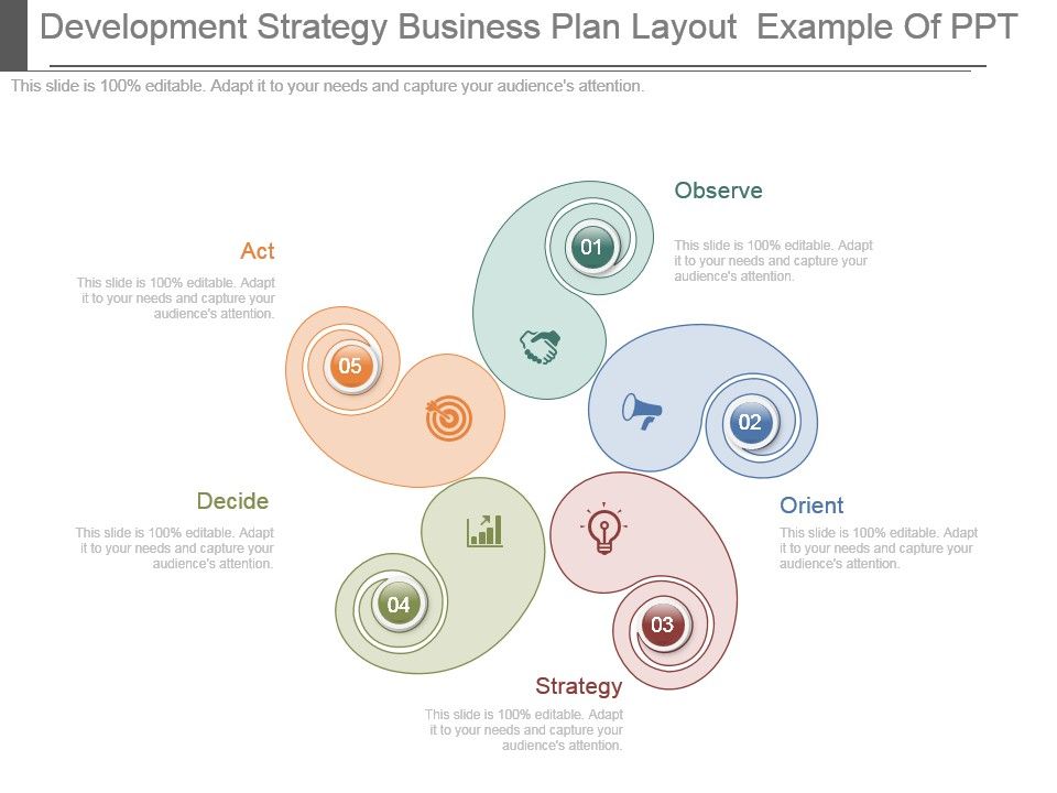 Development_Strategy_Business_Plan_Layout_Example_Of_Ppt_1.jpg
