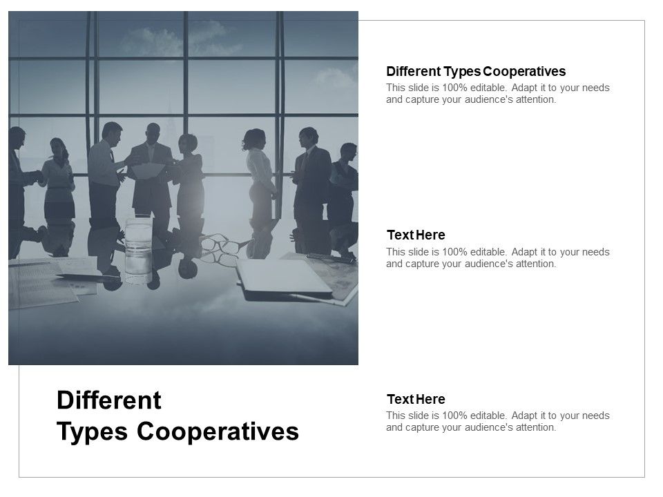 Different_Types_Cooperatives_Ppt_PowerPoint_Presentation_Styles_Skills_Cpb_Pdf_Slide_1.jpg