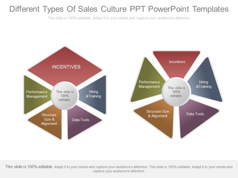 Different_Types_Of_Sales_Culture_Ppt_Powerpoint_Templates_1.jpg