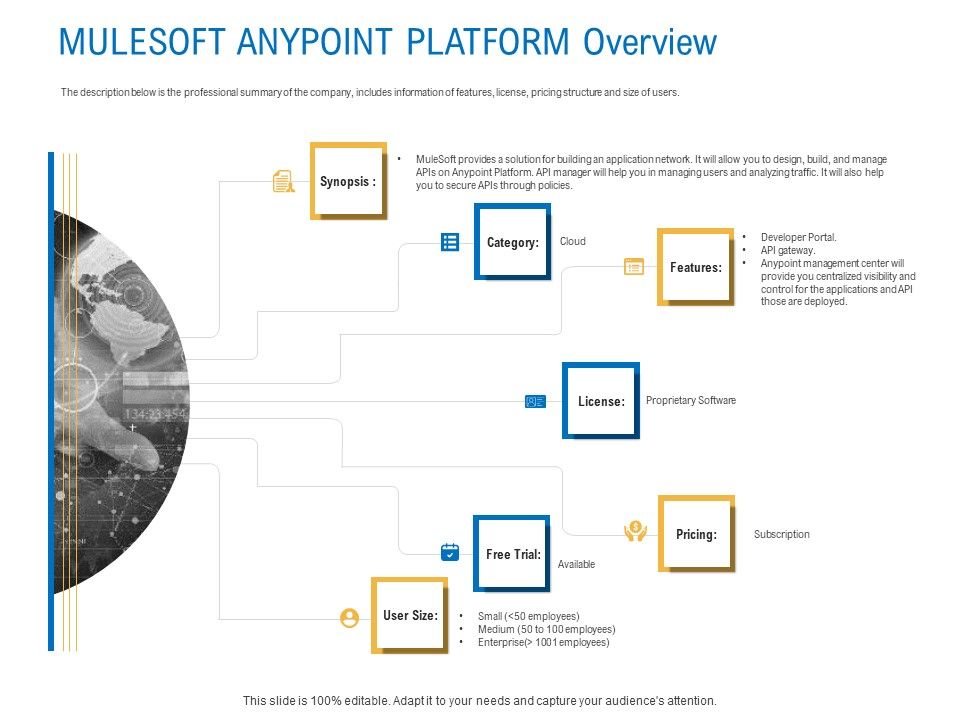 Digital_Businesses_Ecosystems_Mulesoft_Anypoint_Platform_Overview_Guidelines_PDF_Slide_1.jpg