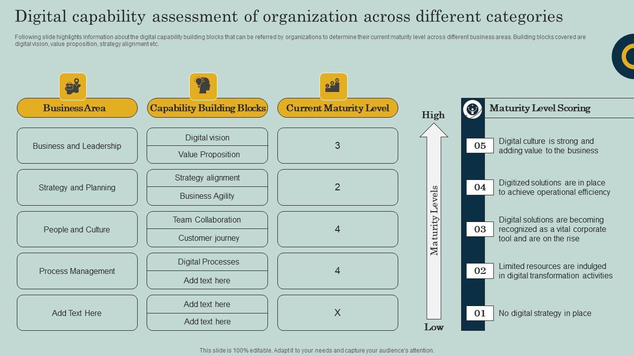 Digital_Capability_Assessment_Of_Organization_Across_Different_Categories_Ppt_Infographic_Template_Background_Designs_PDF_Slide_1.jpg