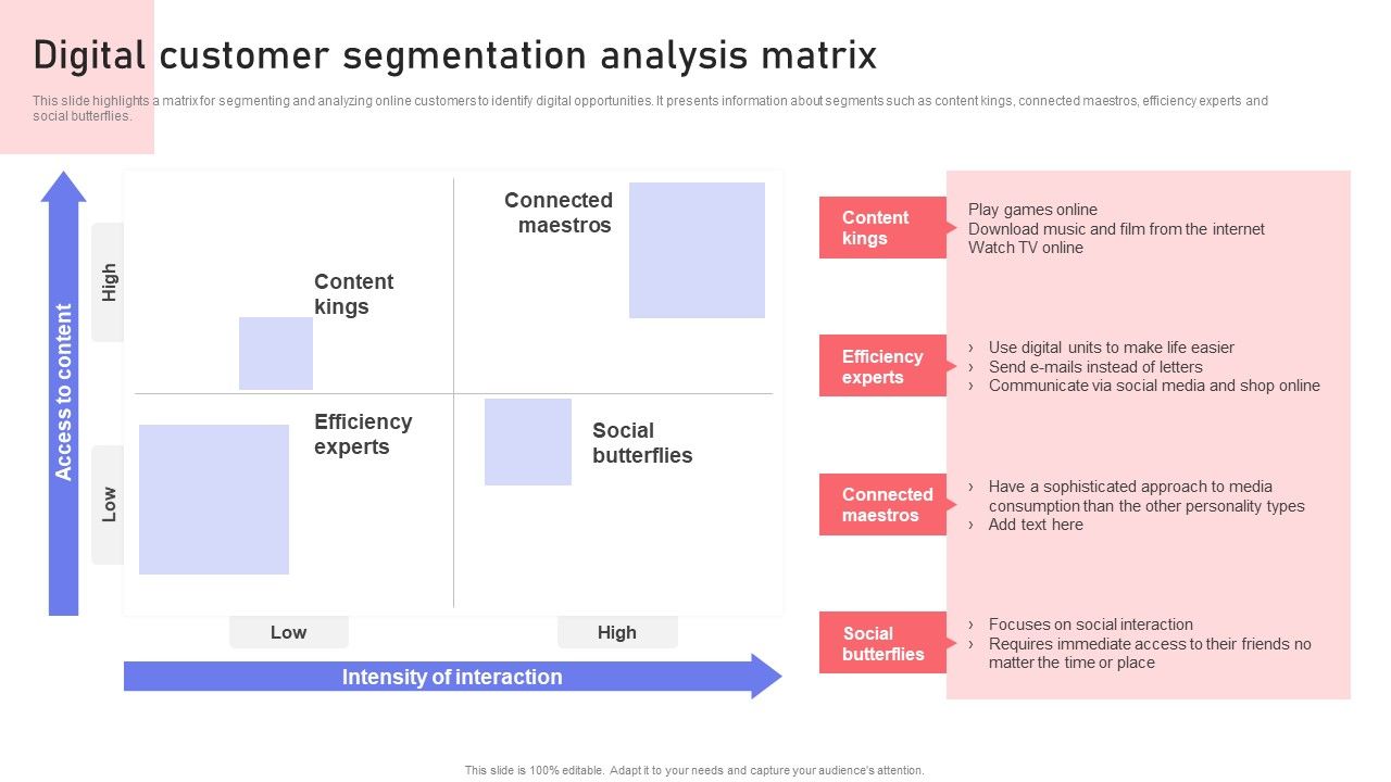 Digital_Customer_Segmentation_Analysis_Matrix_Ppt_PowerPoint_Presentation_File_Show_PDF_Slide_1.jpg