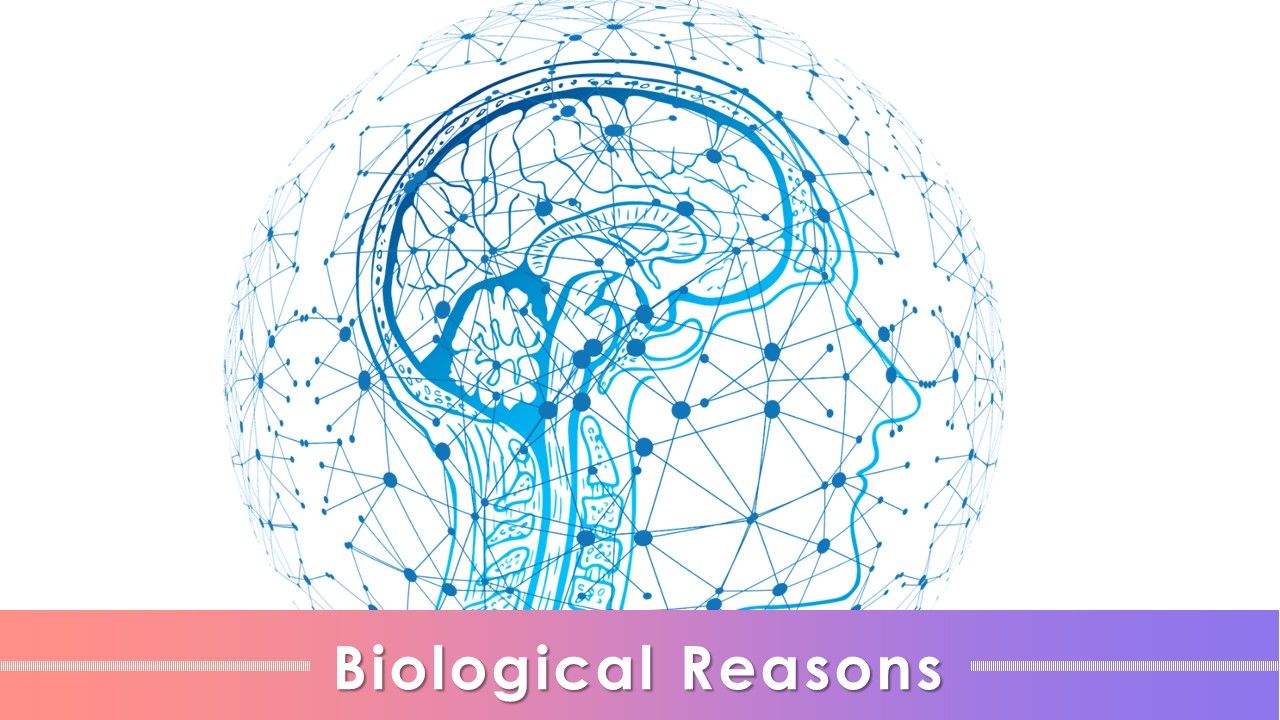 Digital_Human_Brain_With_Interconnections_Training_Ppt_Slide_1.jpg