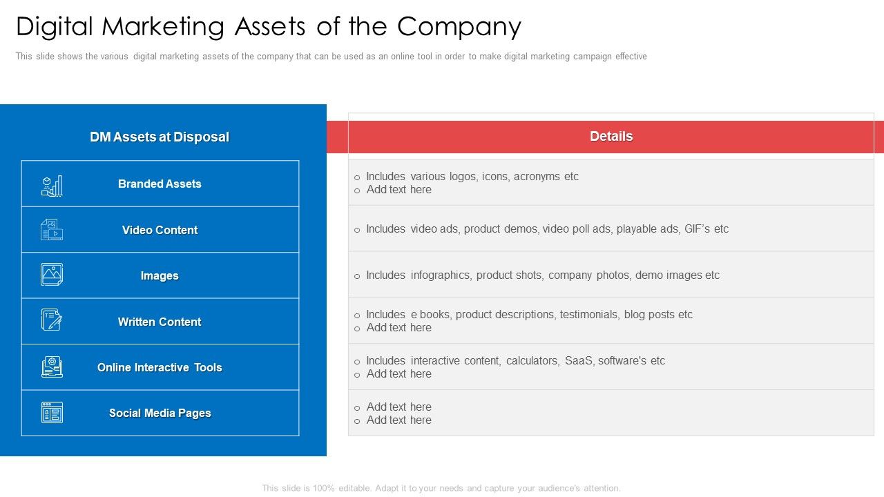 Digital_Marketing_Assets_Of_The_Company_Ppt_Infographics_Format_PDF_Slide_1.jpg