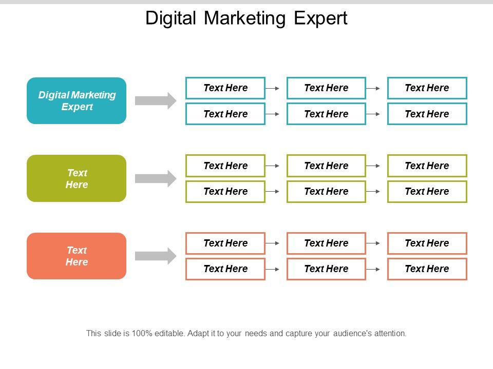 Digital_Marketing_Expert_Ppt_PowerPoint_Presentation_Portfolio_Aids_Cpb_Slide_1.jpg