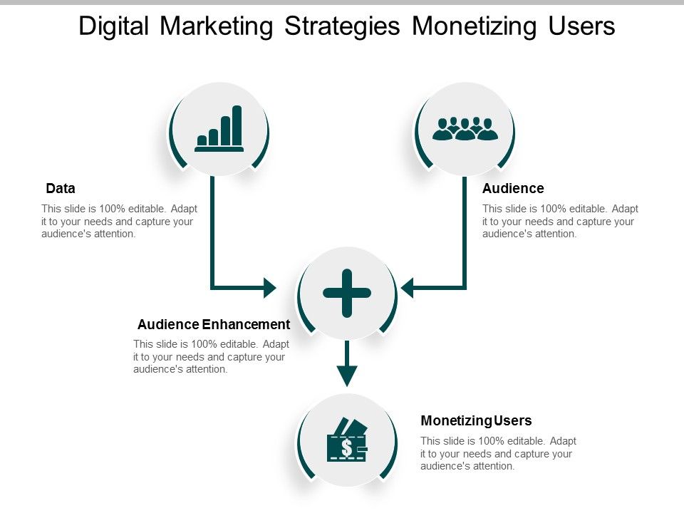 Digital_Marketing_Strategies_Monetizing_Users_Ppt_PowerPoint_Presentation_Infographics_Gridlines_Slide_1.jpg