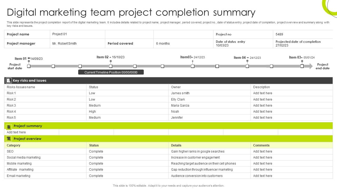 Digital_Marketing_Team_Project_Completion_Summary_Clipart_PDF_Slide_1.jpg